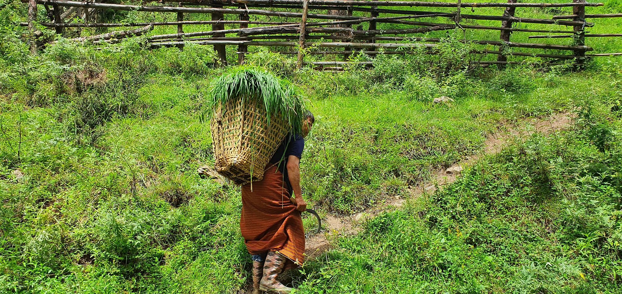 Bhutanese-StephanieZorn